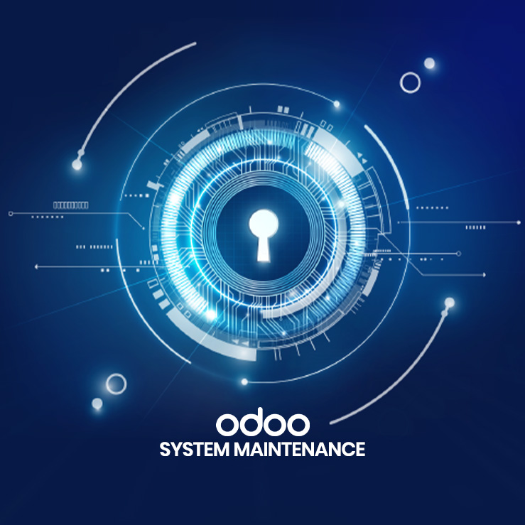 custom development solutions