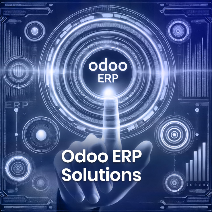 erp system implementation
